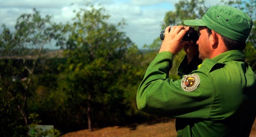 Día Mundial de los Guardas Forestales