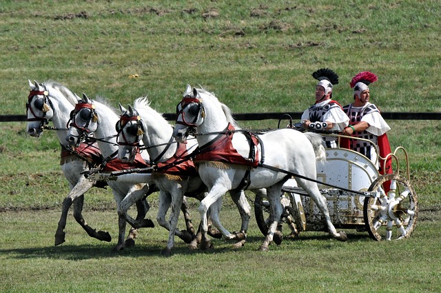El caballo Lipizzano usado en carruajes 