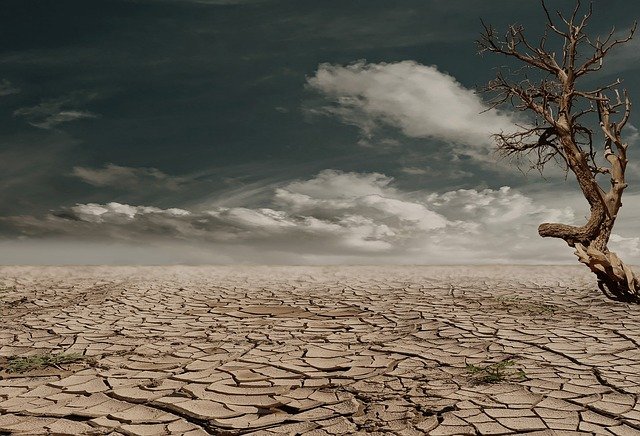 Desertificación y la sequía